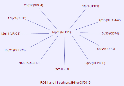 ROS1 partners